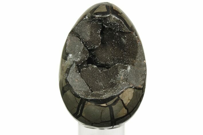 Septarian Dragon Egg Geode - Black Crystals #219096